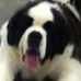Bill Buell - Facebook