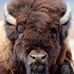 Bill Bunce - Facebook