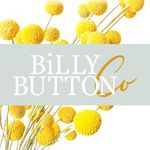Billy Button Co - @billybuttonco - Instagram