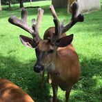 Bill Buzzard - Facebook