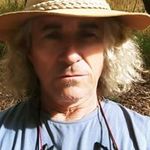 Roy Webb - @billyroybuzzard - Instagram