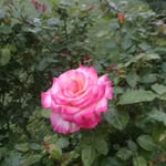 Bill Byars - @byars482 - Instagram