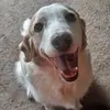 Bill Cantwell - @bill.cantwell0 - TikTok