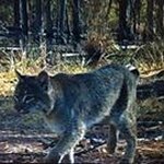 Bill Carmichael - @carmichael5098 - Instagram