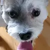 Bill - @billcarnegie - TikTok