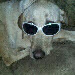 Bill Carnegie - @billcarnegie0 - Instagram