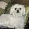Bill Chaisson - @bill.chaisson2 - TikTok
