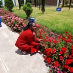 Chaltu Billise - Facebook