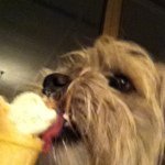@billchaplin - Instagram