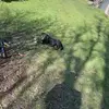 Bill Chappell - @bill.chappell - TikTok