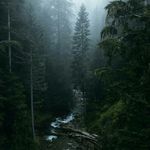 Bill Charlton - @charlton297 - Instagram