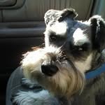 Bill Cheatham - @spudz_bud - Instagram