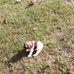 William Christner - Facebook