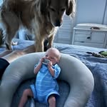 Chuck and Bill - @stay_golden_chuck_bill - Instagram