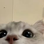Bill Chung - @billchung5 - Instagram