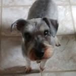 Bill Clausing - @billclausing - Instagram