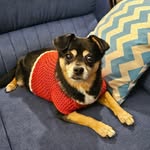 Bill Cleary - @puffin_g_funk - Instagram