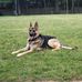 Bill Clesas - Facebook