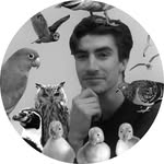 Will Close - @will.close - Instagram