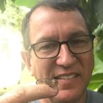 @bil.lcoble - Instagram