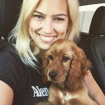 Molly & Billie - @billie_jean_the_cocker_spaniel - Instagram