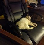 Bill Cockerham - Facebook