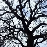 Bill Cockrell - @cockrellbill - Instagram