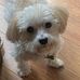 Bill Coddington - Facebook