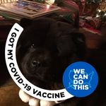 Bill Coddington - @coddington_bill - Instagram