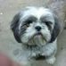 Bill Coit - Facebook