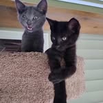 Bill Coker - @bill.coker.5496 - Instagram