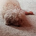 Bill Colbert - @bcolb126004 - Instagram