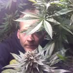 Bill Coles - @akroniclife - Instagram