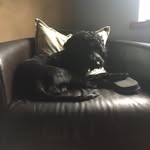 Bill Coles - @bill__coles - Instagram