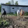 Bill Colgan - @bill.colgan8 - TikTok