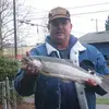 bill - @billcone1 - TikTok