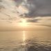 Bill Conklin - Facebook
