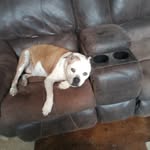 bill Conklin - @conklin4720 - Instagram
