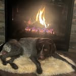 Bill Connelly - @connelly835 - Instagram