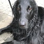 Bill Coogan - @yeti22333 - Instagram