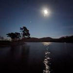 Bill Coombs - @wc.cactis - Instagram