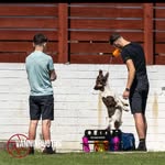 Billy Corkill - @billycorkill17 - Instagram