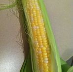 Bill Meguiar's Sweet Corn - Facebook