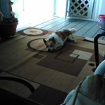 Bill Cornish - @cornish.bill - Instagram