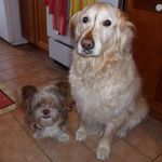 Bill Corrigan - @billcorrigan6 - Instagram