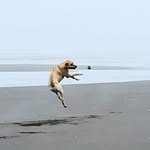 Bill Cote - @billcote50 - Instagram