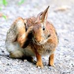 Bill Coull - @2bcoull - Instagram