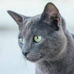 Bill Coull - @bill.coull.1 - Instagram