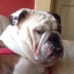 Bill Covert - @covert_bill - Instagram