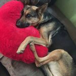 Bill Coy - @bill_coy - Instagram